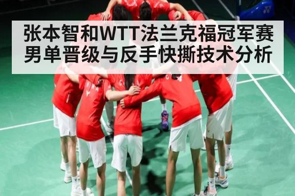 张本智和WTT法兰克福冠军赛男单晋级与反手快撕技术分析
